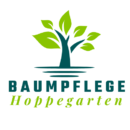 Baumpflege Hoppegarten